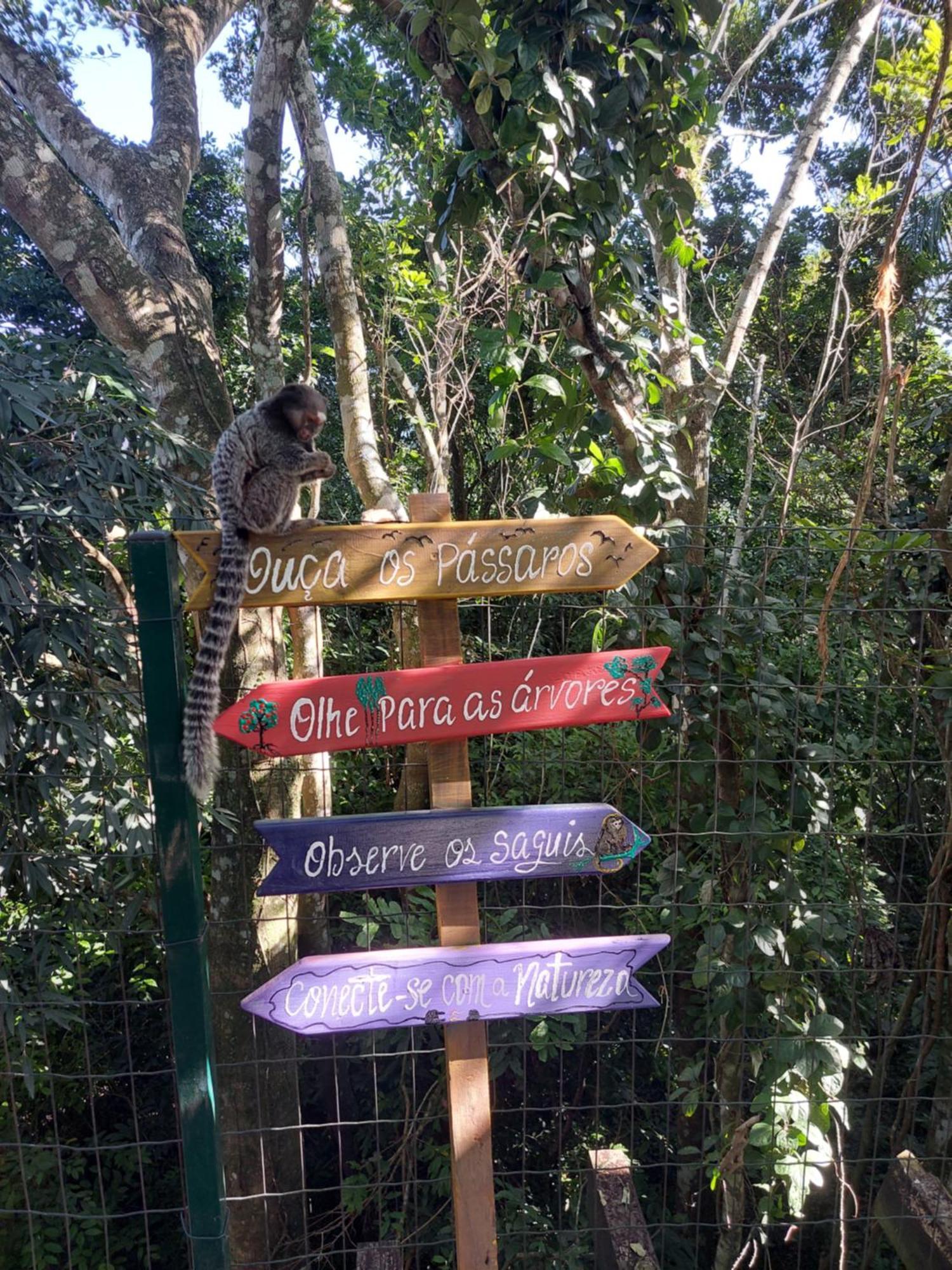 Chalé na montanha em meio a natureza com banheira de hidromassagem Florianópolis Exterior foto
