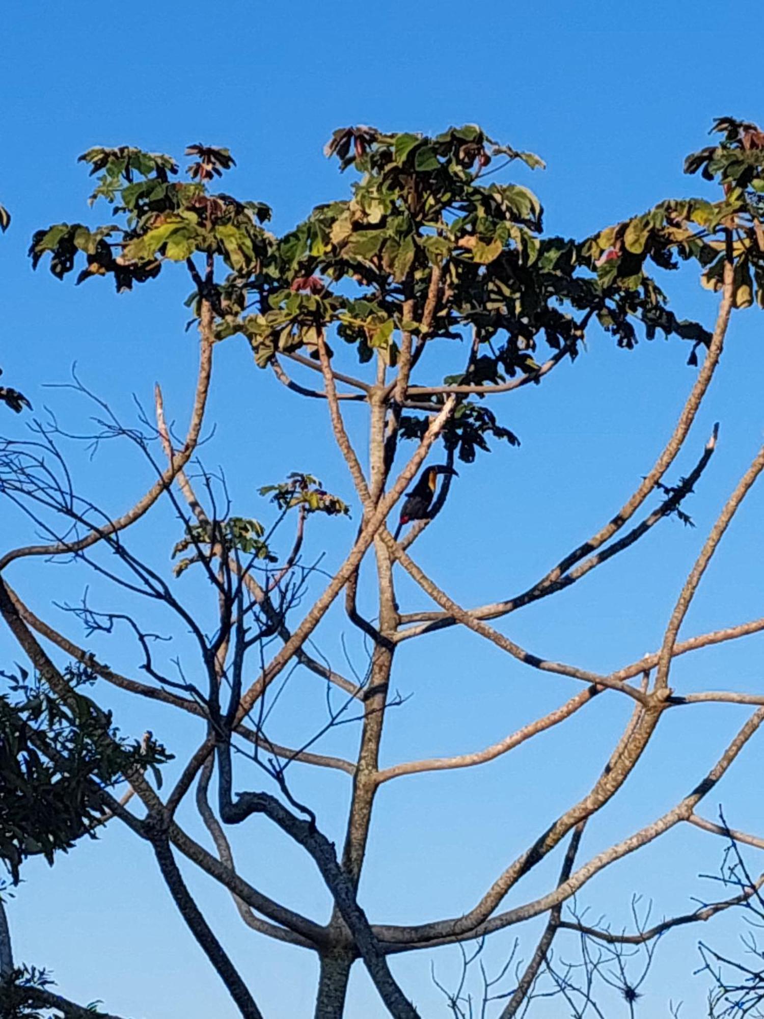Chalé na montanha em meio a natureza com banheira de hidromassagem Florianópolis Exterior foto