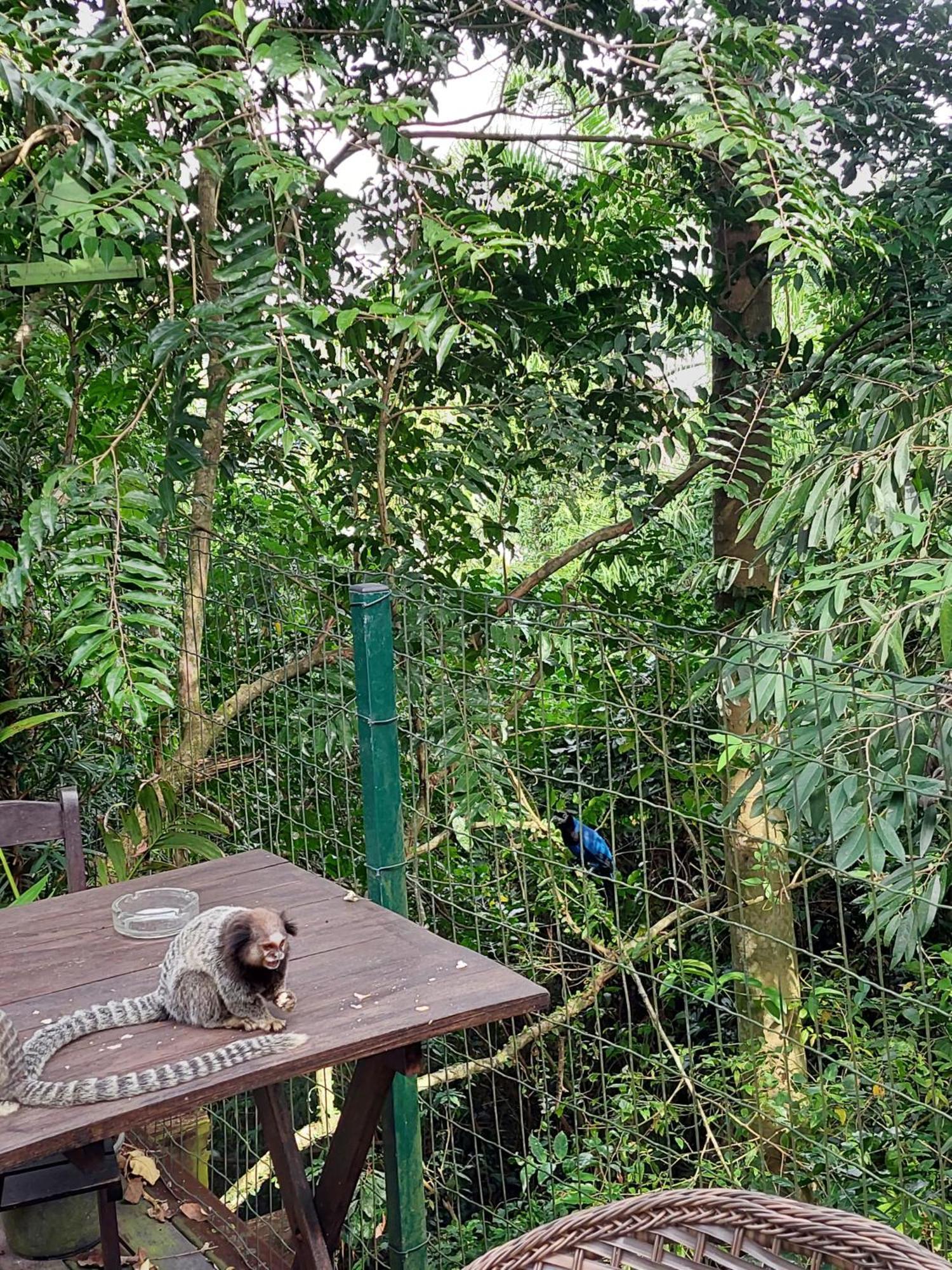 Chalé na montanha em meio a natureza com banheira de hidromassagem Florianópolis Exterior foto